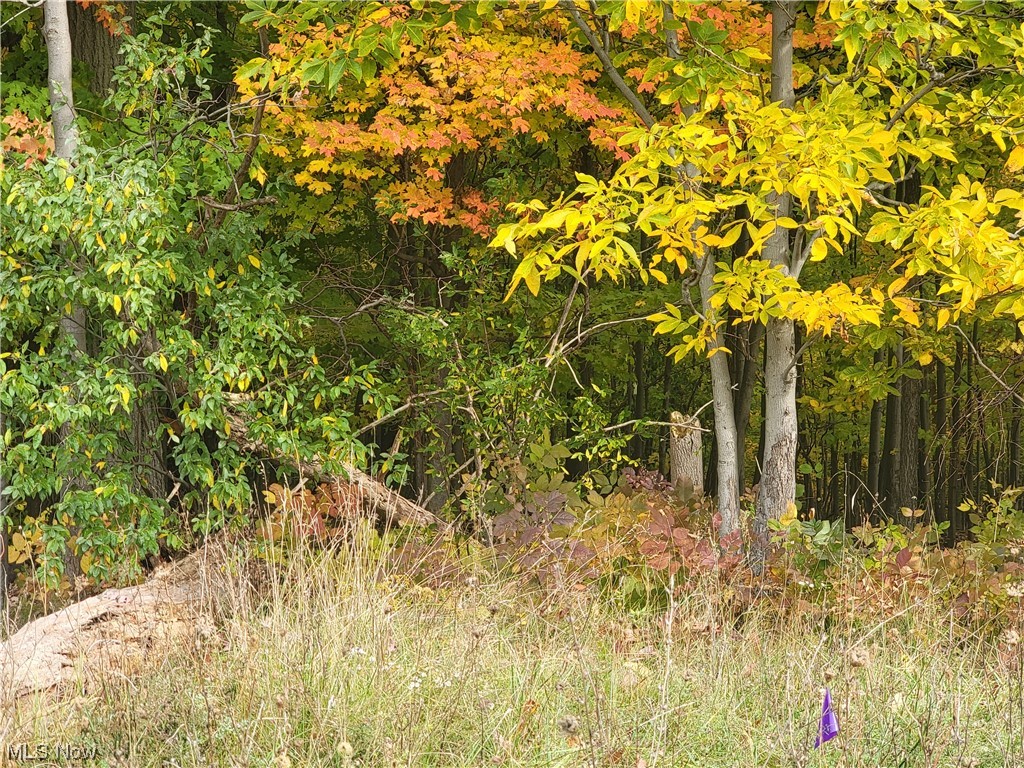 City/Broadview Heights - Land