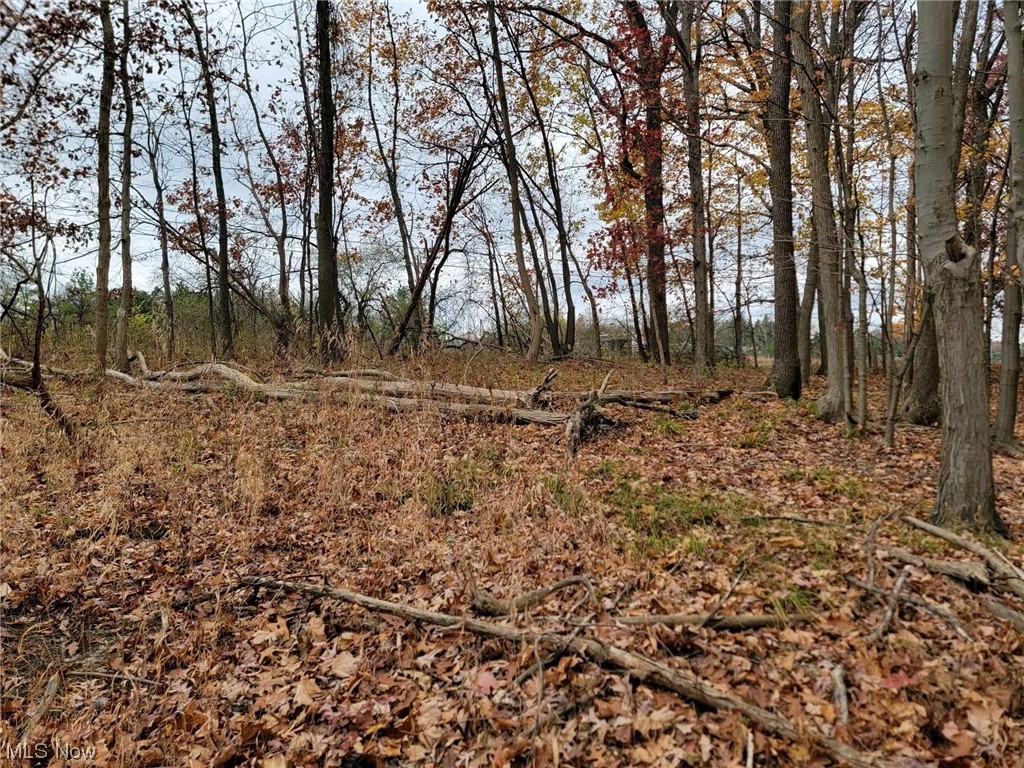 City/Broadview Heights - Land