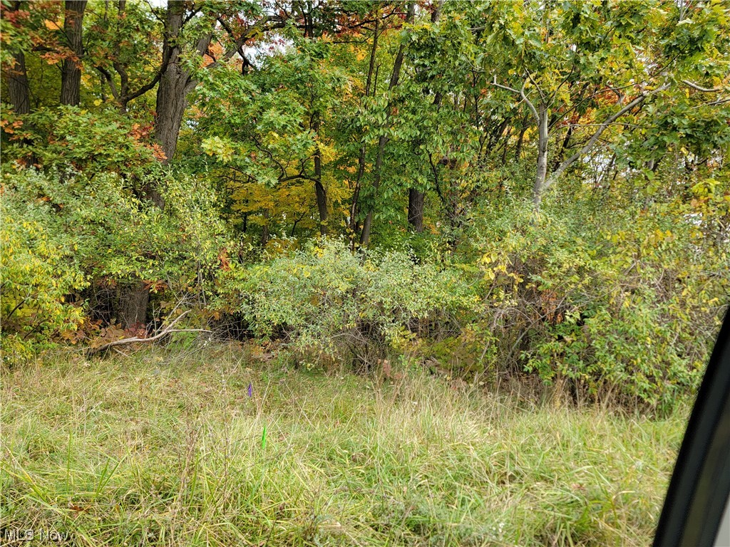 City/Broadview Heights - Land