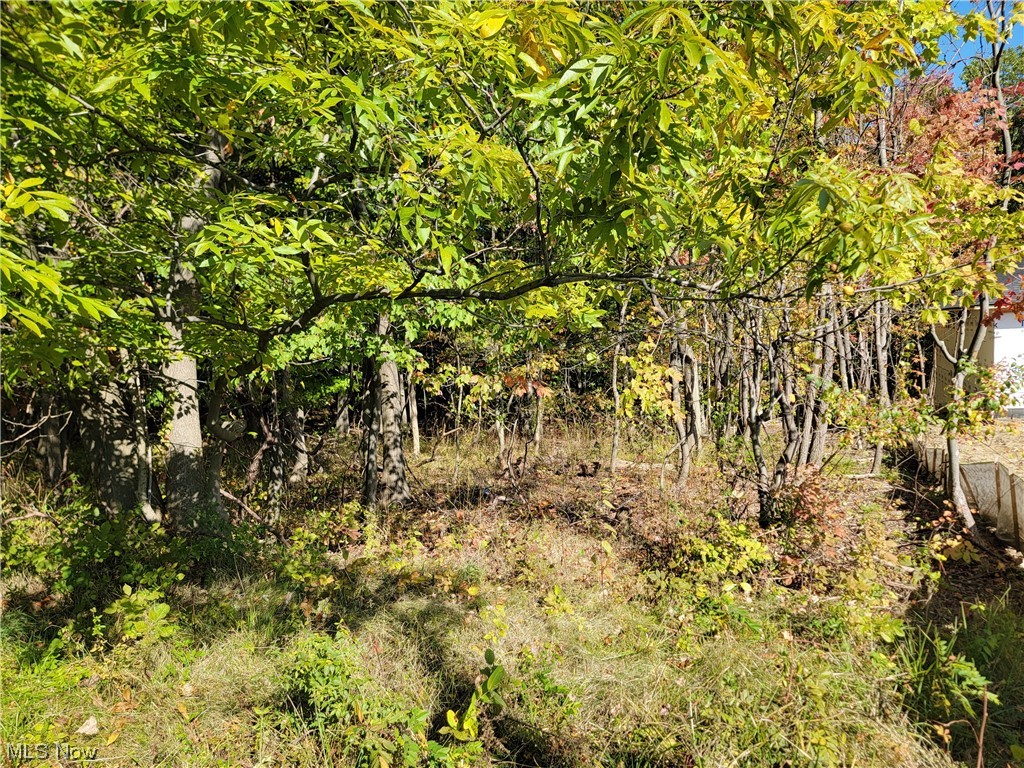 City/Broadview Heights - Land