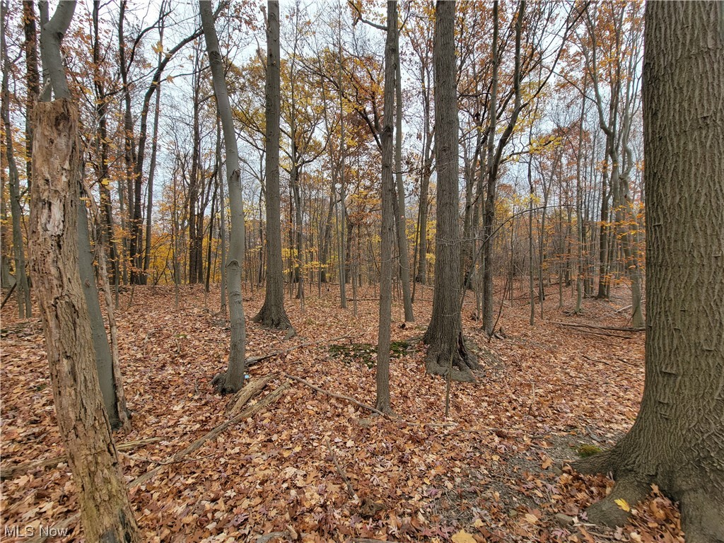 City/Broadview Heights - Land