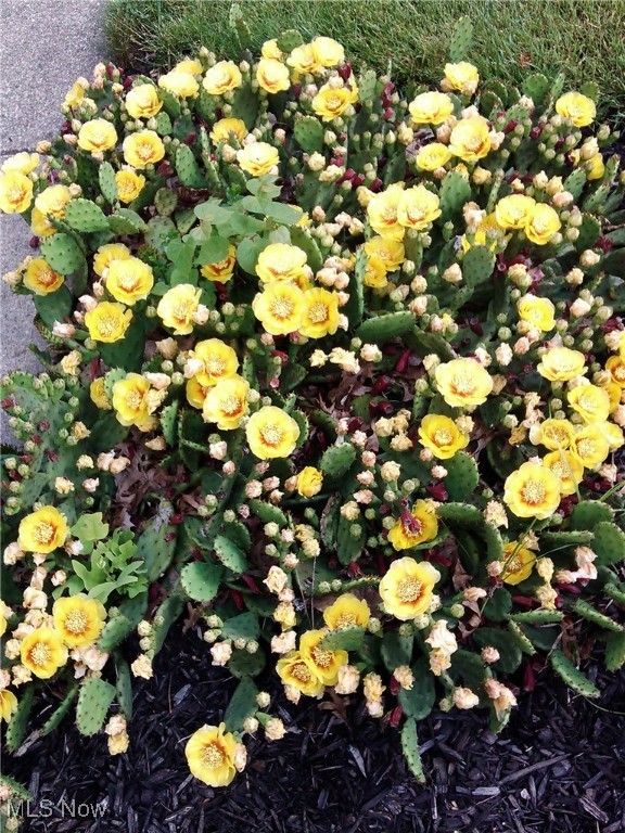 Baldwin Crk 04 - Residential