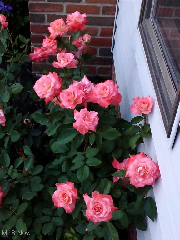 Baldwin Crk 04 - Residential