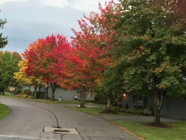 The Village - Residential