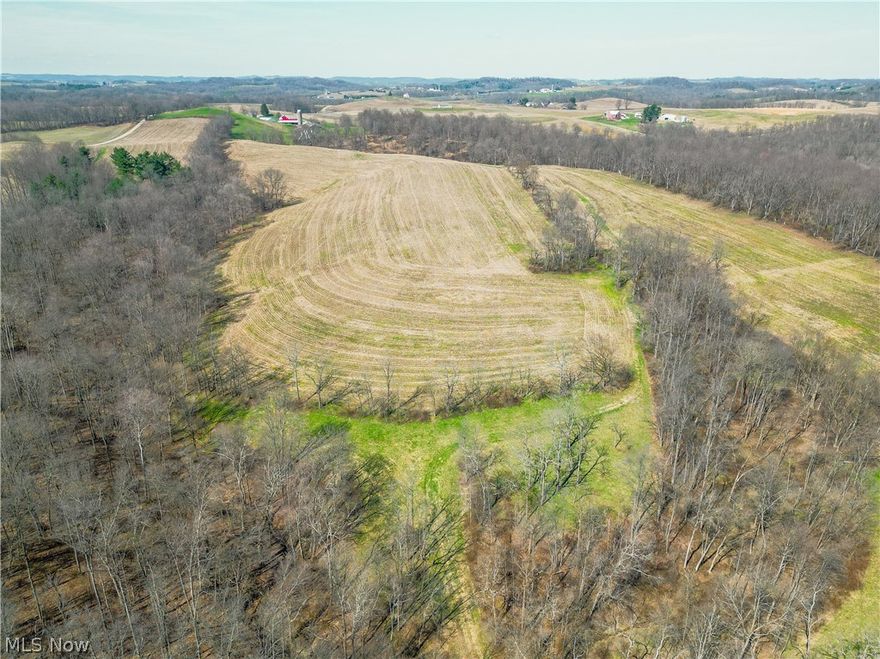 Parcel 11 - The largest parcel in the offering, Parcel 11 features a mix of open ground and wooded acreage across 64.7 acres with the majority in Tuscarawas county and a portion in Coshocton County. This diverse landscape supports farming, hunting, and recreational uses while also offering long-term investment potential.
