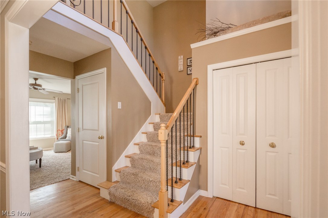 Camden Meadow - Residential