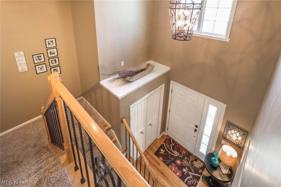 Camden Meadow - Residential