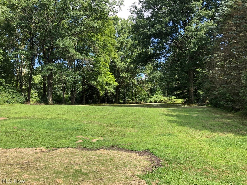 Cuyahoga River - Residential