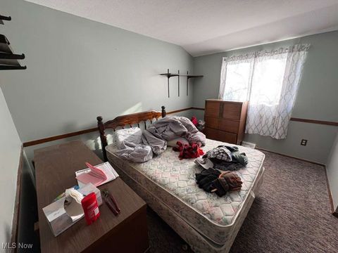 Tiny photo for 256 Monroe Drive, Northfield, OH 44067 (MLS # 5178275)