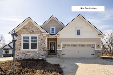 6124 Grey Heron Drive Medina OH 44256