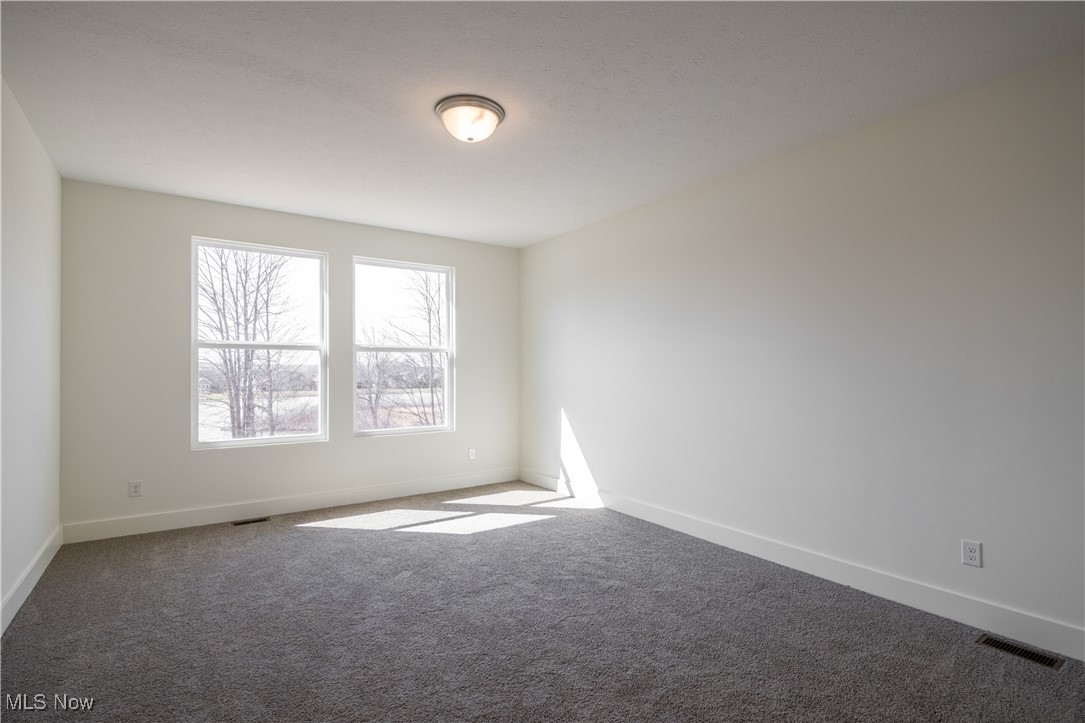 6124 Grey Heron Drive, Medina, Ohio image 10