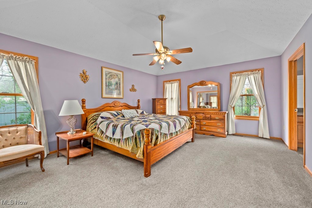 40262 Butternut Ridge Road, Elyria, Ohio image 18