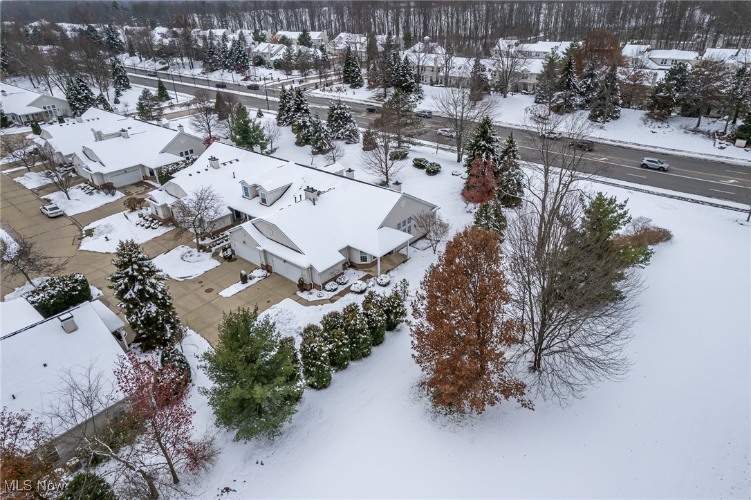 Orchard Park Condos - Residential