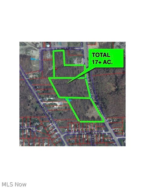 Photo of 296 N Canfield Niles Road, Austintown, OH 44515 (MLS # 5203591)