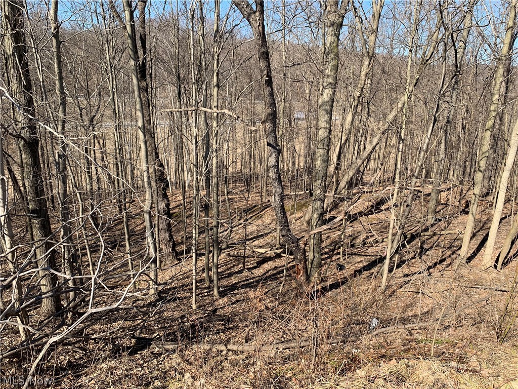 Glencairn Forest Ph Vii - Land