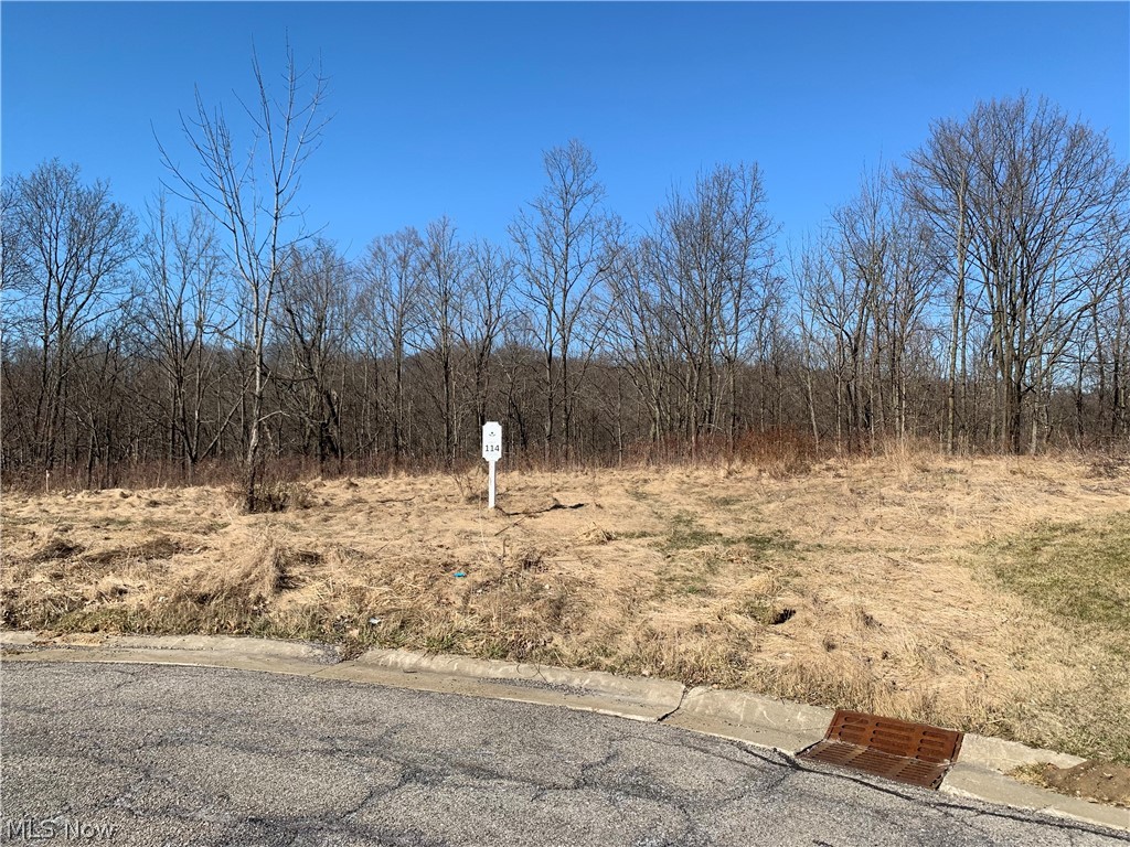 Glencairn Forest Ph Vii - Land