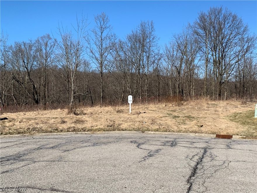 Bring your own builder! City water and sewer! Located in Richfield (Revere Schools). No deadline for starting your build. Beautiful wooded lot with ravine in highly sought after Glencairn Forest. Side and/or rear walk out basement is possible. Incredibly convenient location within 35 minutes of downtown Cleveland, Akron, Hudson, Lakewood, Chagrin Falls, Kent, Medina and 2 major airports. Don't miss your chance to be part of this extraordinary community. Current owner has plans for a 3 bedroom Ranch with walkout lower level. Contact listing agent for more details.