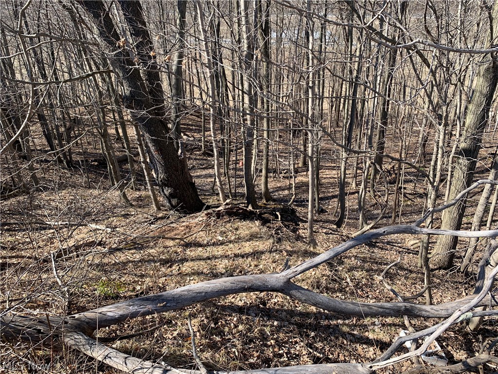 Glencairn Forest Ph Vii - Land