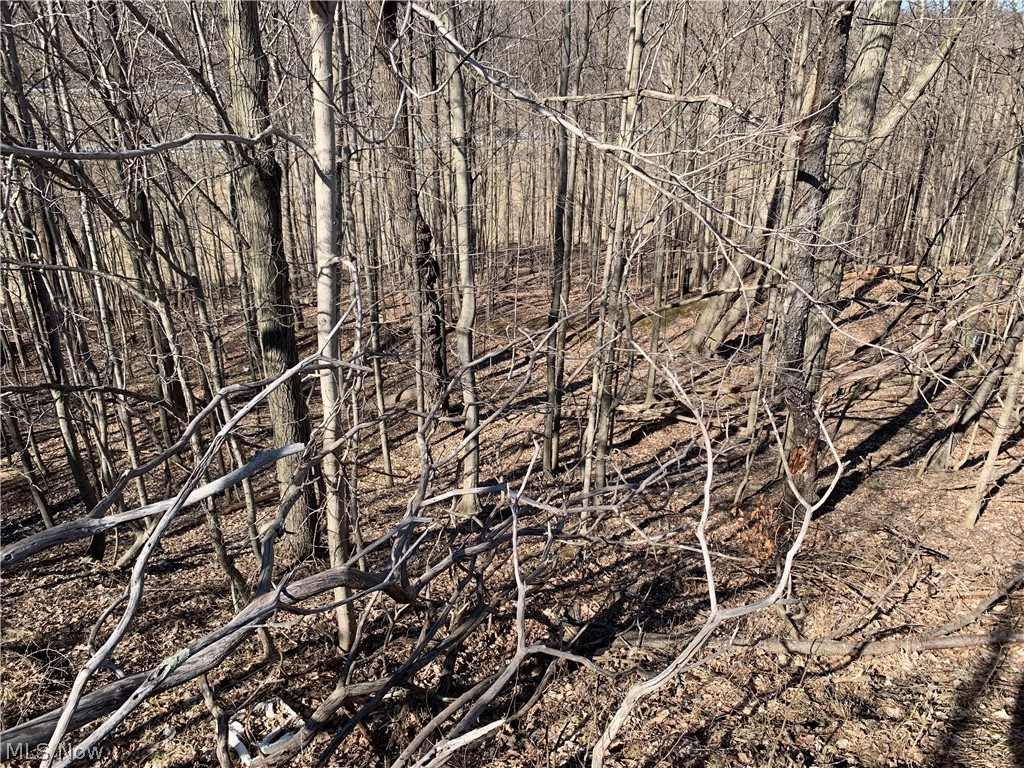 Glencairn Forest Ph Vii - Land