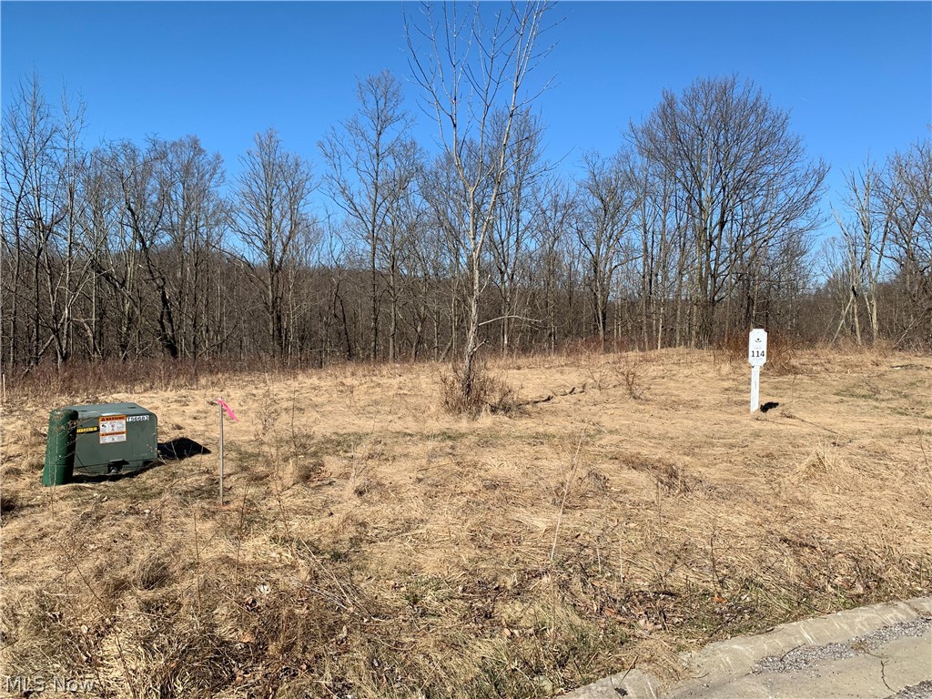 Glencairn Forest Ph Vii - Land