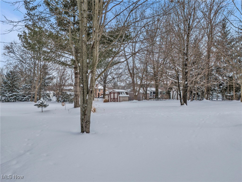 10003 Parkland Drive, Twinsburg, Ohio image 37