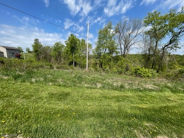 Country Boulevard Lot 7, Clarington, Ohio image 1