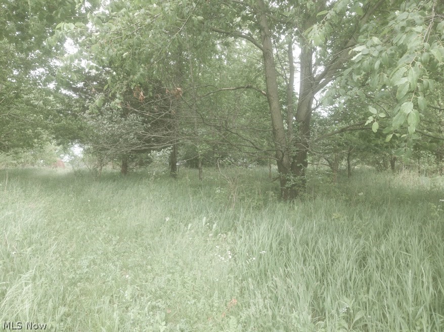 Apple Valley Lake - Land