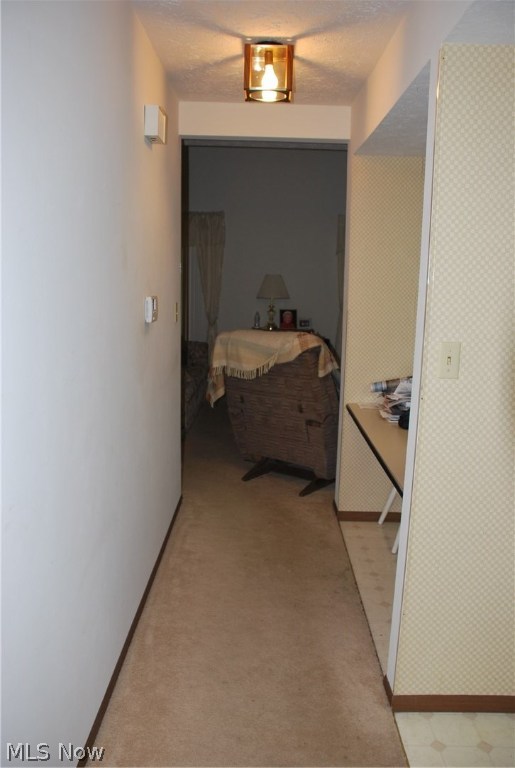 Trail View Terrace Condo - Residential