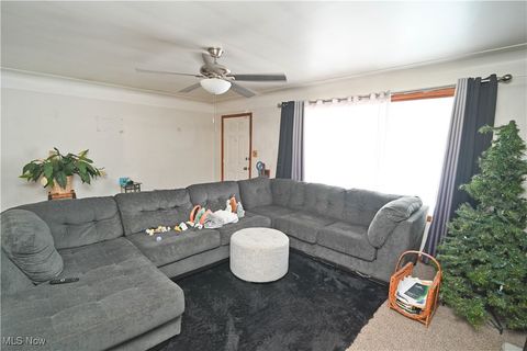 Tiny photo for 11 Brookline Avenue, Youngstown, OH 44505 (MLS # 5179350)