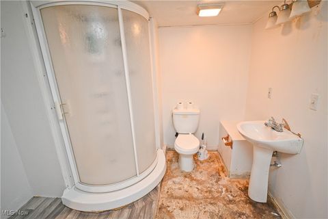 Tiny photo for 11 Brookline Avenue, Youngstown, OH 44505 (MLS # 5179350)