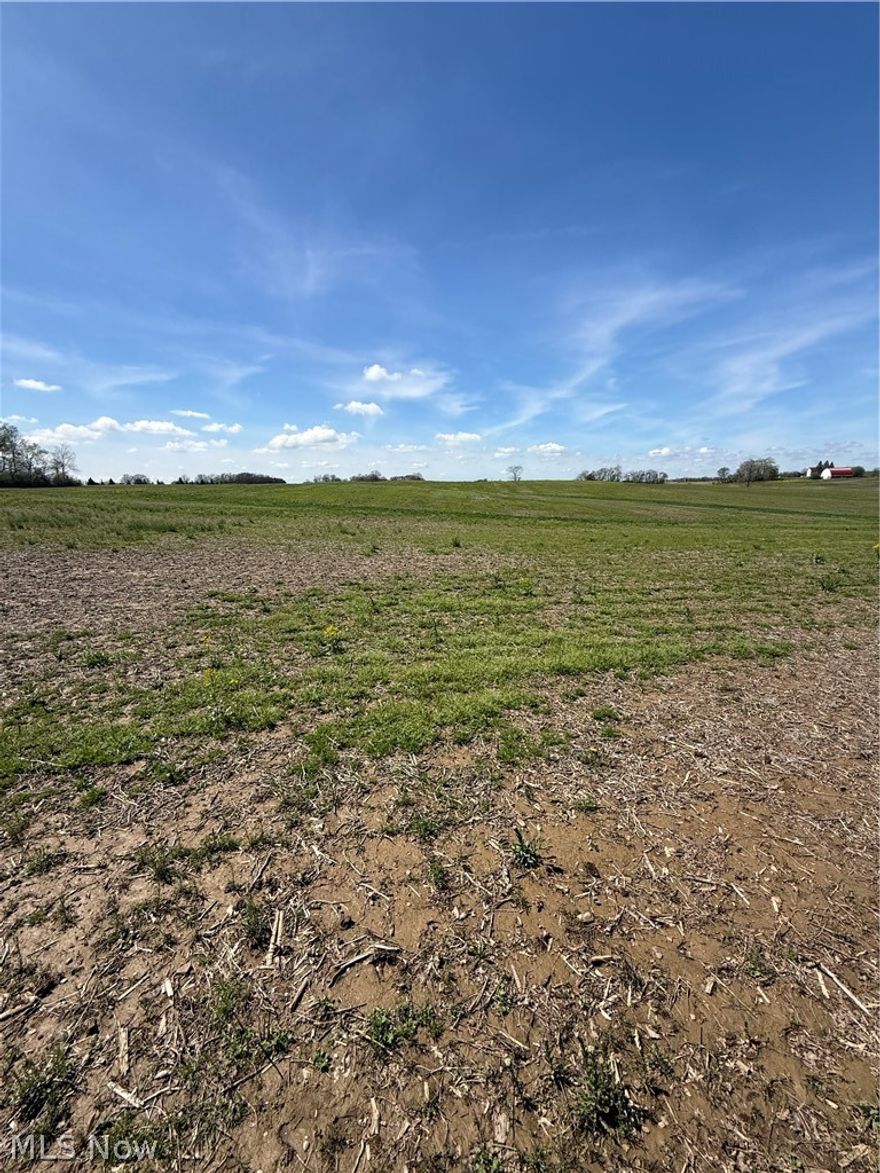 Build your dream home on this beautiful 8-acre vacant land parcel. Located in Marshallville/Chippewa Twp., this property offers the ideal setting for a custom home, hobby farm, or private retreat with plenty of space and flexibility. Enjoy the benefits of rural living while still being within a convenient distance to shopping, dining, and major routes. Property is currently being split and is subject to final survey, township, and county approvals. Great opportunity for buyers, builders, or investors looking for land for sale in Wayne County, Ohio.