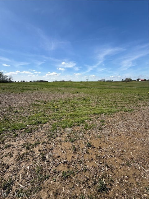 Vacant Land For Sale - V/l Black Diamond Road<br/> Marshallville, OH 44645
