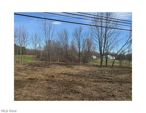 Vacant Land For Sale - Newton<br/> Portage County, Paris, OH 44266