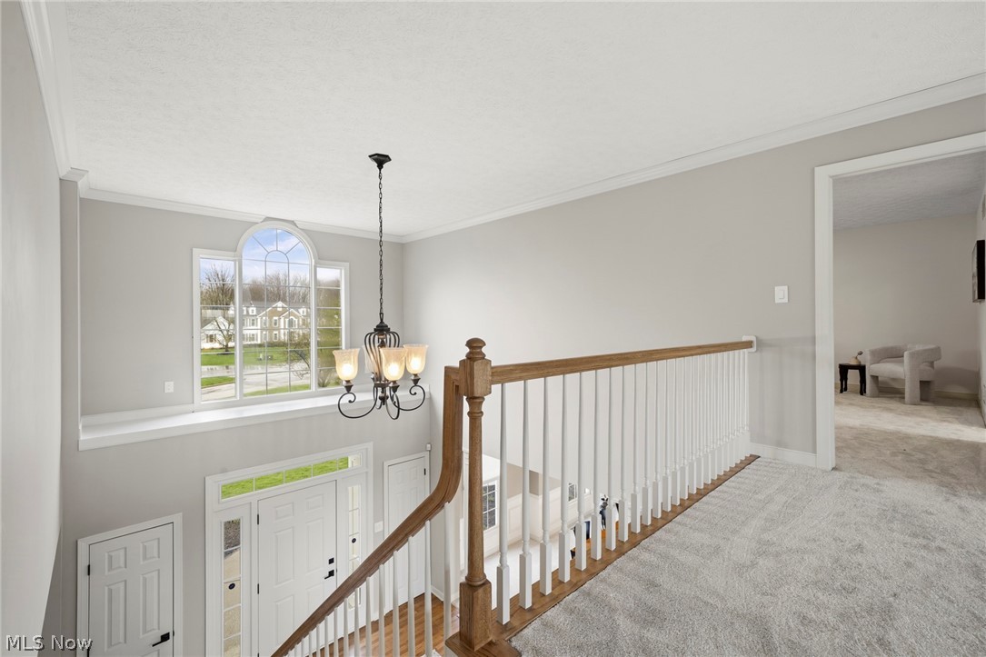 Chadds Ford - Residential