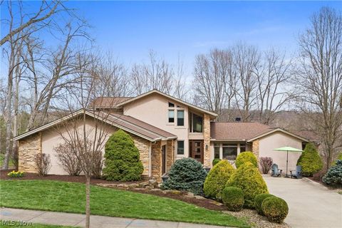 1105 Riverwoods Drive Akron OH 44313
