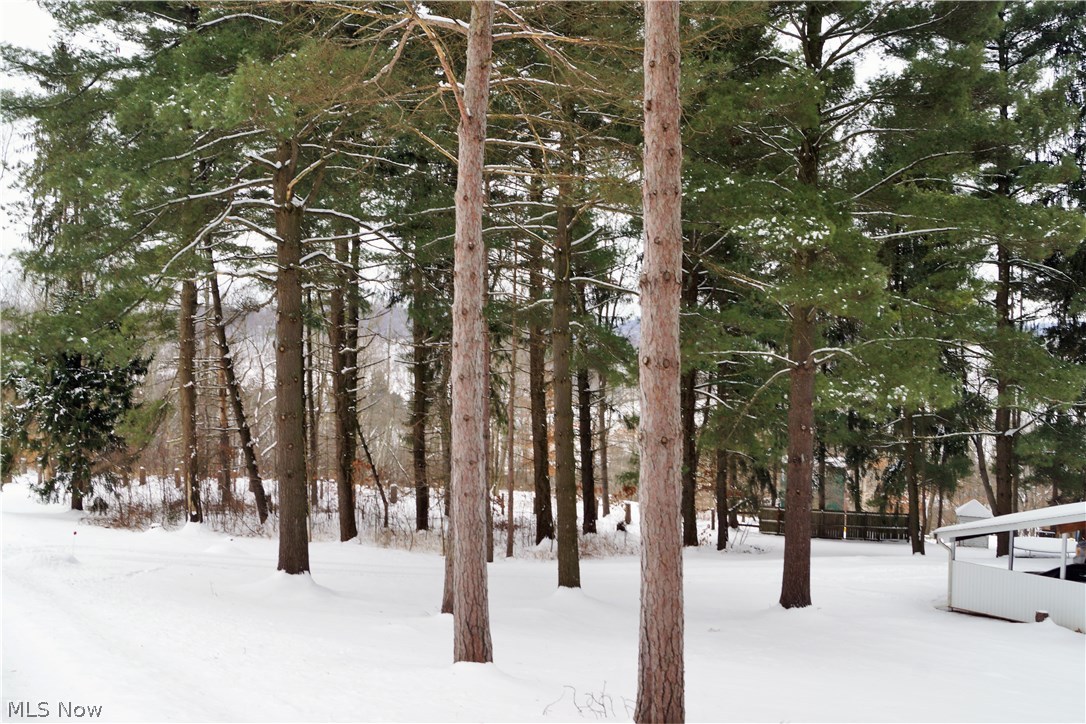 Pine Hill - Residential