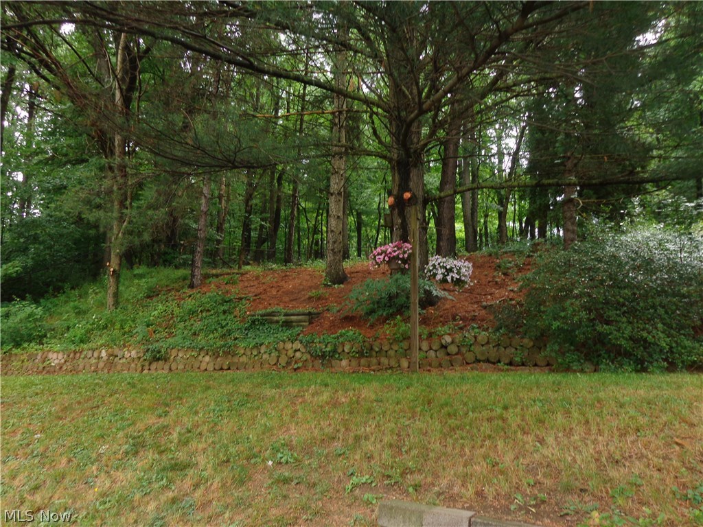 Village Green Sub - Residential