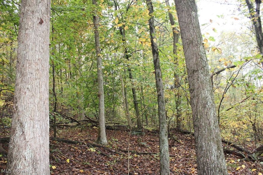 15 acres for sale in Harrison County, Ohio. This property in Tippecanoe will make a great hunting property or building site. The location is great being just around the corner from Clendening Lake which offers great fishing opportunities. Plenty of deer sign. Seller is reserving all Oil & Gas rights. Property offer varying topography and a good mix of woods with some future  timber potential.