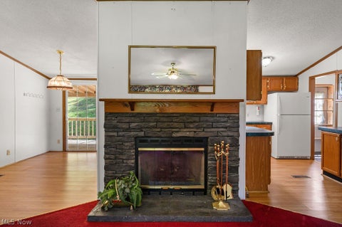 Tiny photo for 1312 Russet Road, Grantsville, WV 26147 (MLS # 5239338)