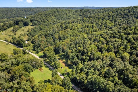 Tiny photo for 1312 Russet Road, Grantsville, WV 26147 (MLS # 5239338)