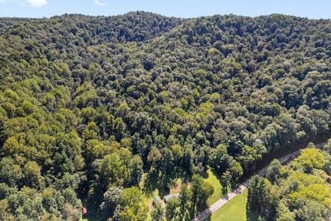 Tiny photo for 1312 Russet Road, Grantsville, WV 26147 (MLS # 5239338)