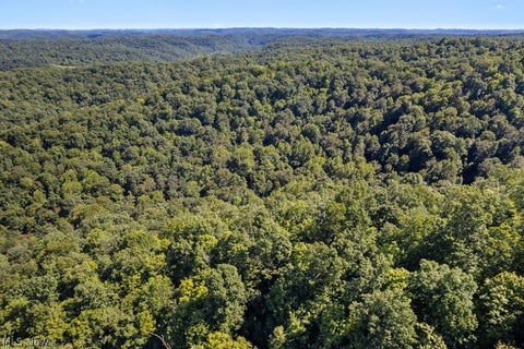 Tiny photo for 1312 Russet Road, Grantsville, WV 26147 (MLS # 5239338)