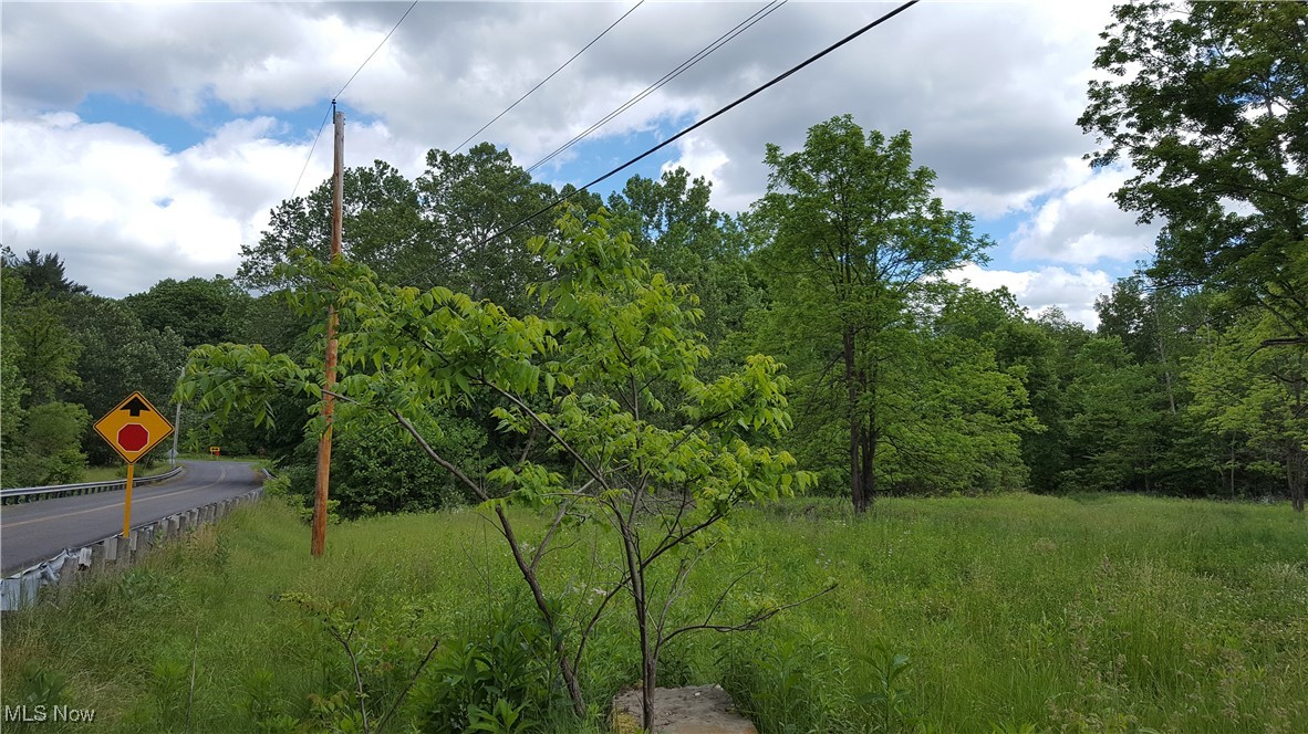 Ohio 44438, United States, ,Commercial,Active,44739