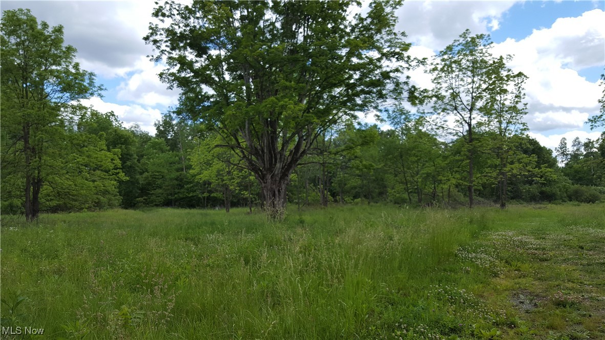 Ohio 44438, United States, ,Commercial,Active,44739