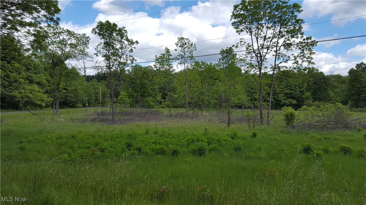 Ohio 44438, United States, ,Commercial,Active,44739