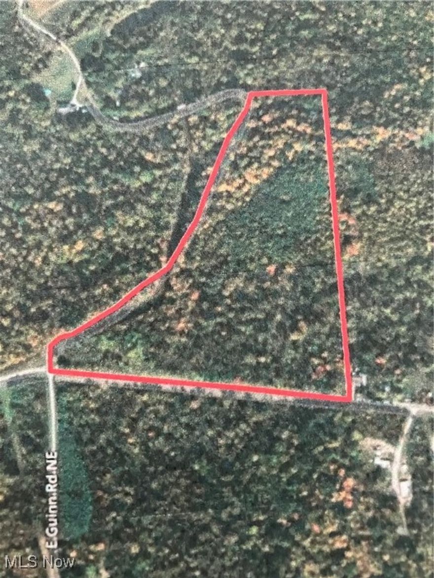 26.44 acres of AEP Land at the corner of Guinn Road (TR225) and Fred Mummey Road.  Totally wooded, hilltop and hillside, road frontage on 2 sides. Bristol Township, Morgan County. New survey in 2025.  Excellent recreation land, lots of good deer genetics harvested in that area, plus turkey sign is evident.  All mineral rights transfer with the exception of gas and oil, which the Seller is keeping.