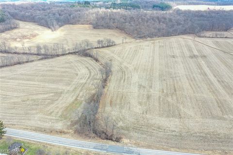 Vacant Land For Sale - St Rt 603<br/> Richland County, Lucas, OH 44843