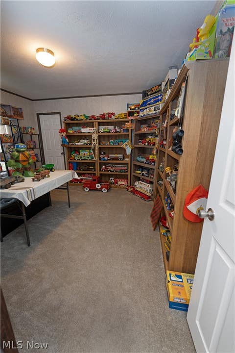 Tiny photo for 4790 Scenic Drive, Ravenna, OH 44266 (MLS # 5238095)