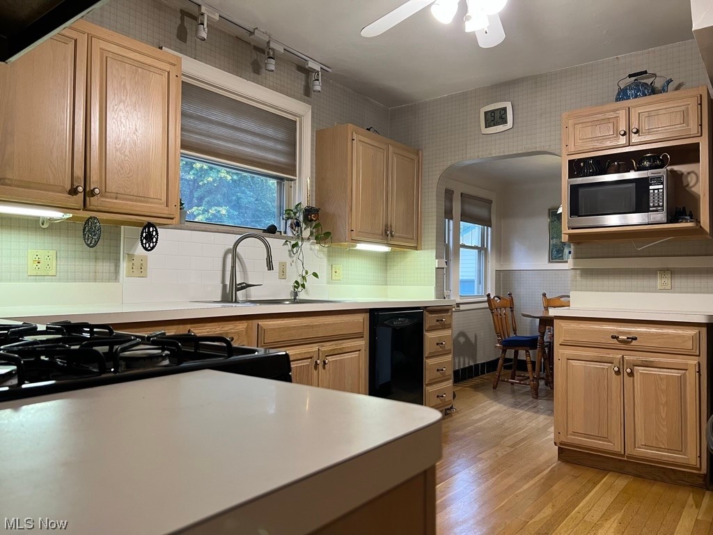 Parkway Allotment/F W Blatzs - Residential