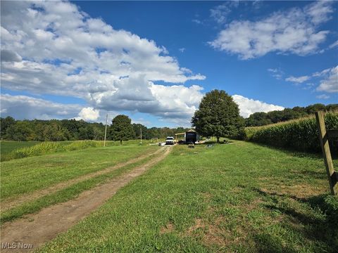 Vacant Land For Sale - 11631 Rankin Road<br/> Mount Perry, OH 43760